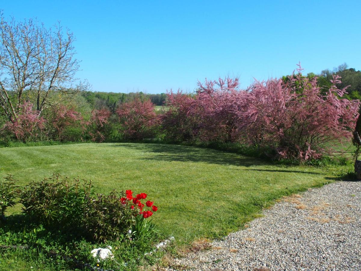 Les Tamaris Bed and Breakfast Castelnau-sur-Gupie Buitenkant foto